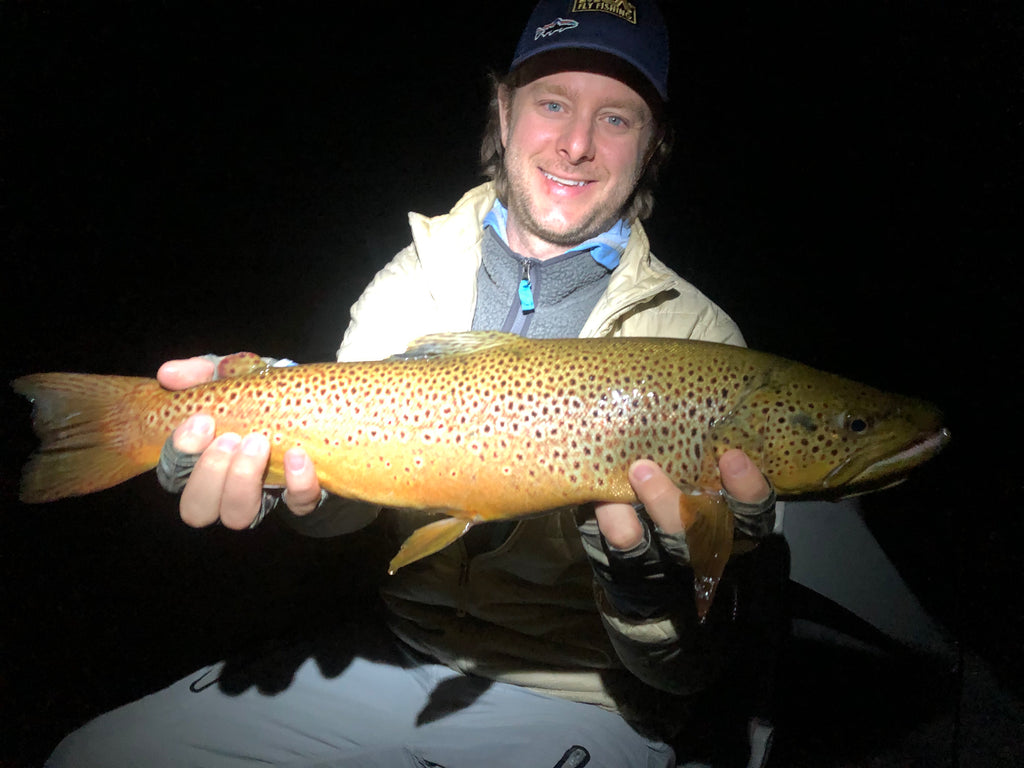 big brown on a brown drake on the au sable