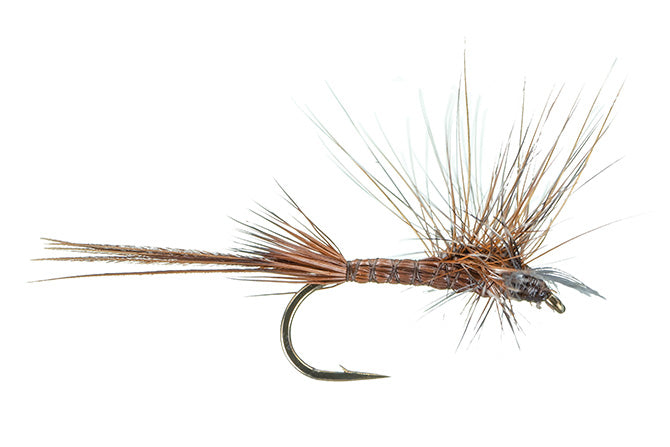 Top Flies for Michigan Trout and Smallmouth Bass