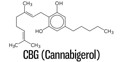 What is CBG? See the breakdown of the cannabinoid molecule. 