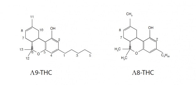 Molecules of Delta 9 THC and Delta 8 THC