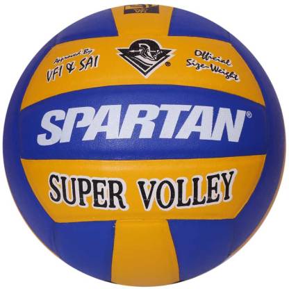 spartan volleyball shoes price