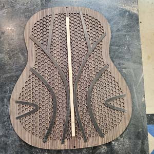 acoustic guitar back from indian rosewood 