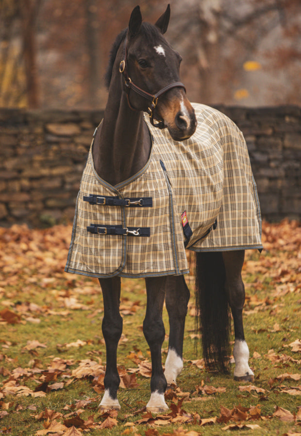 Baker Quarter Sheet - Red Ribbon Tack