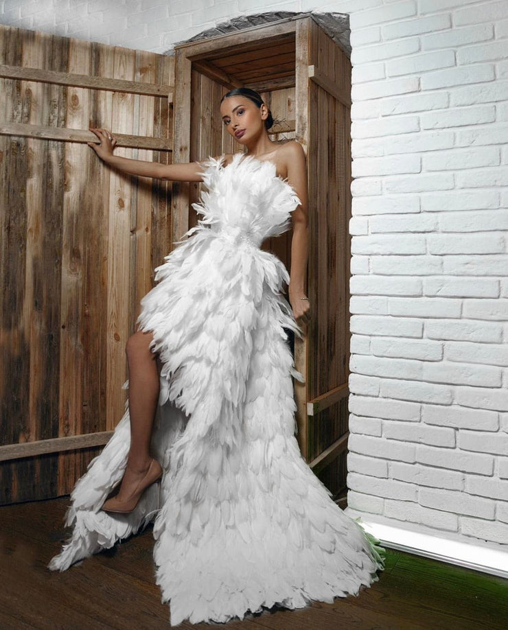 feather dress gown