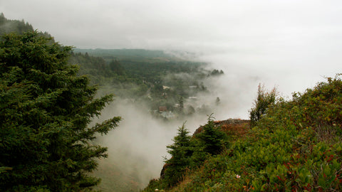 Oregon Fog