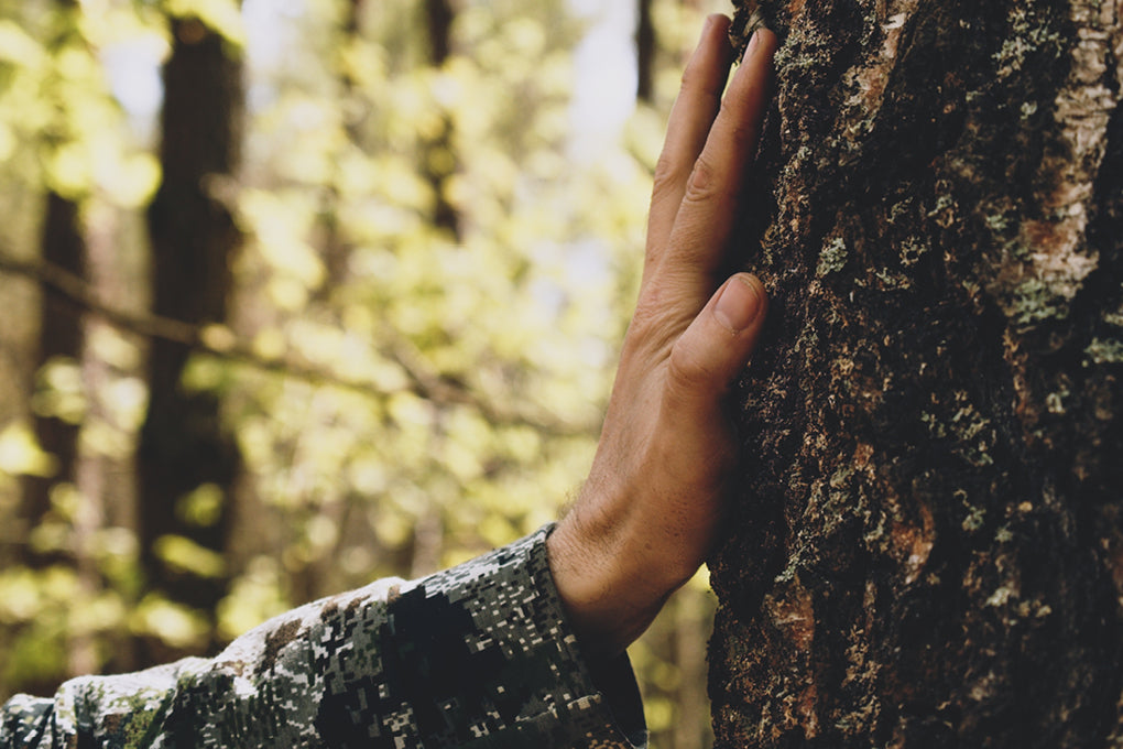 hand touching tree in forest