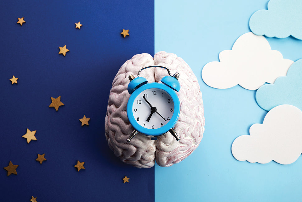 illustration of brain and sleep