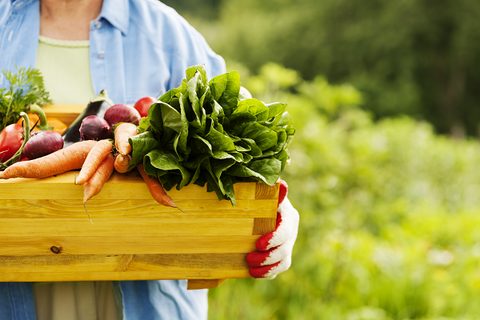 holding basket of organic foods