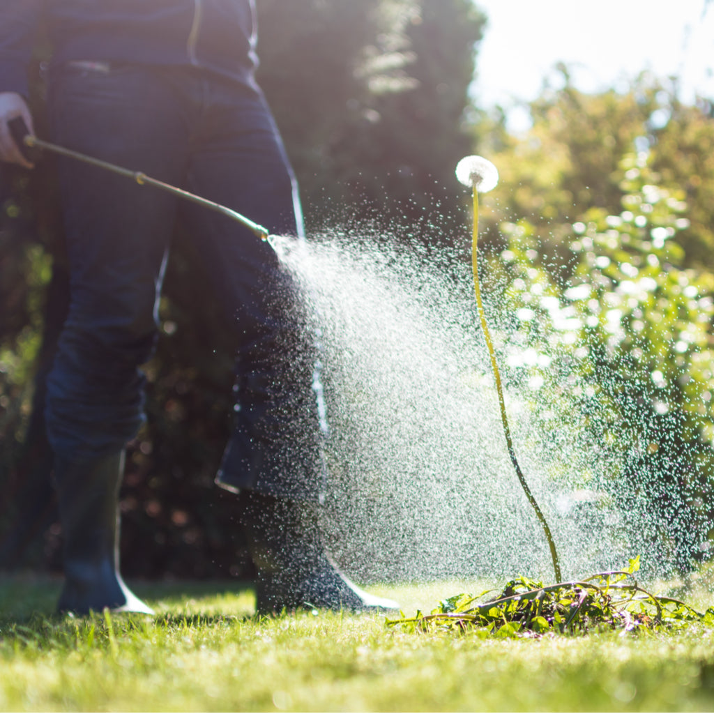 Is Weed Killer Safe for Animals?