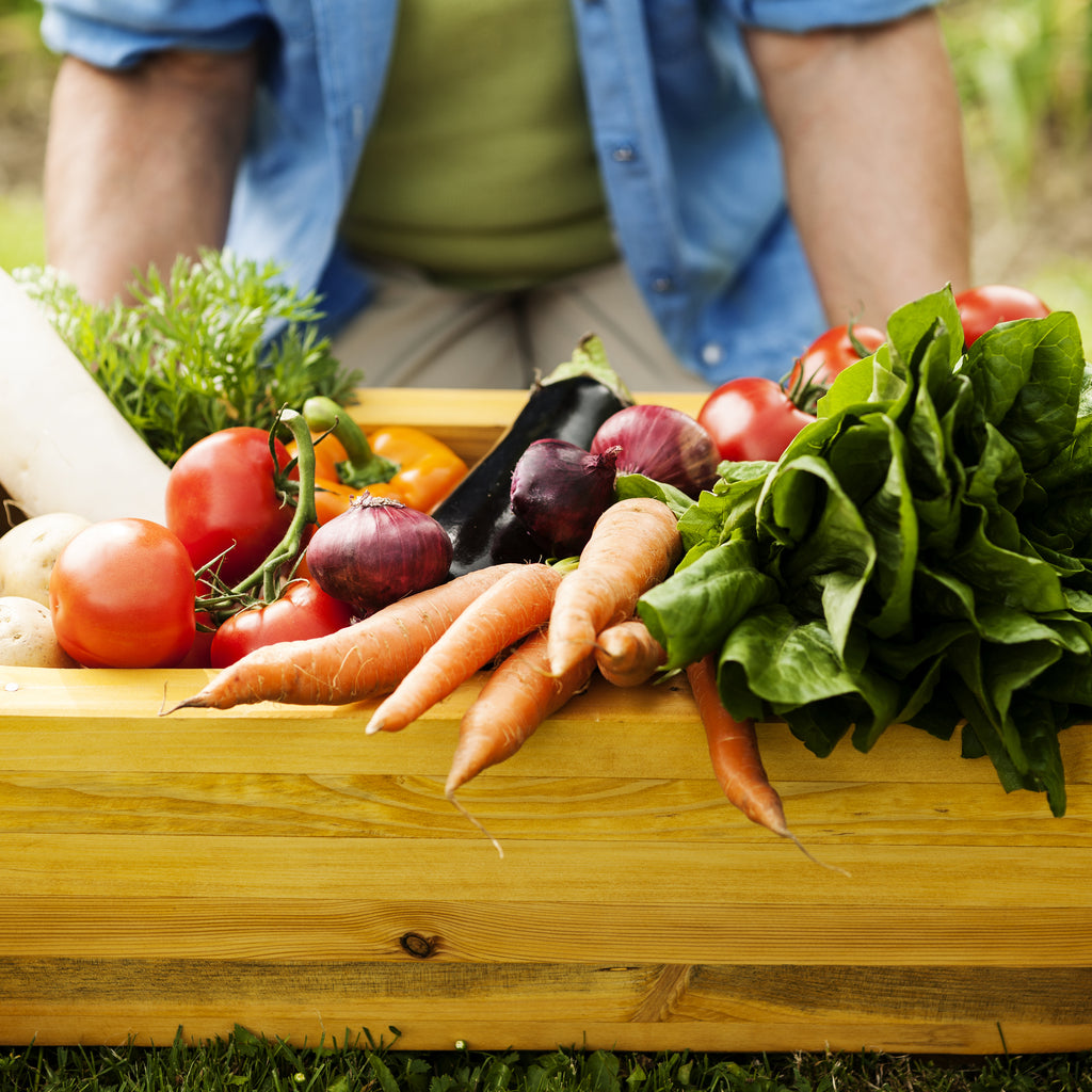 How to Change Your Soil’s pH for Different Vegetables