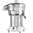 Ruby 2000 3/4 Juicer Extractor