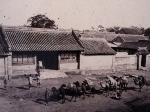 Camel Train