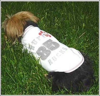 Because your pup rocks. White cotton dog tee.