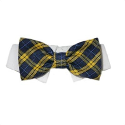 Bruce Bow Tie Collar