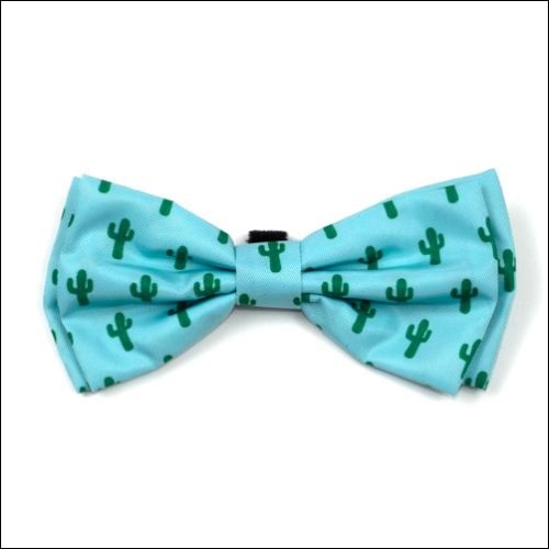 Cactus Dog Bow Tie