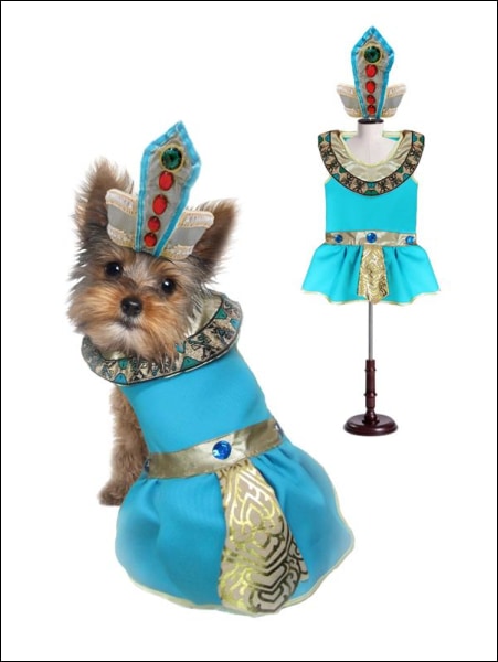Cleopatra Dog Costume