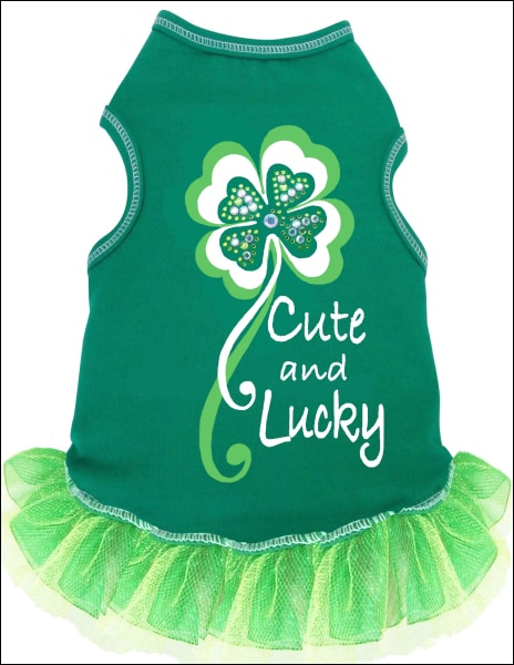 CUTE and LUCKY Dog Dress