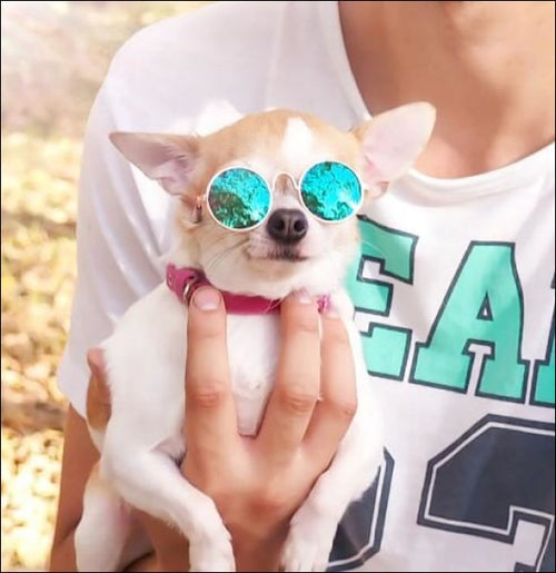 Fashion Round Dog Sunglasses