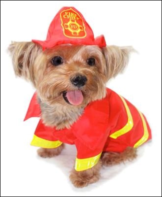 Fireman Dog Costume