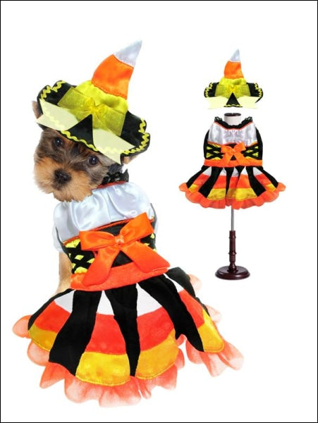 Halloween Candy Corn Witch Dog Costume