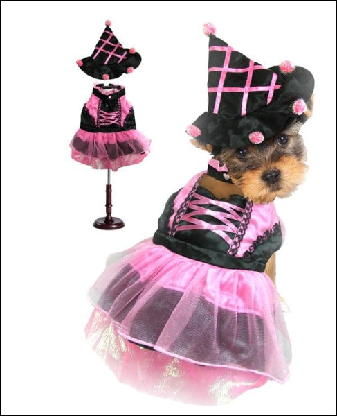Halloween Pink Pompom Witch Dog Costume