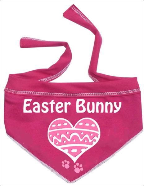 Heart Easter Bunny Scarf - Hot Pink