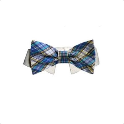 Isaac Bow Tie Collar