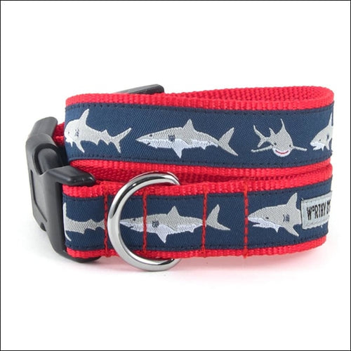 Jaws Collar & Lead