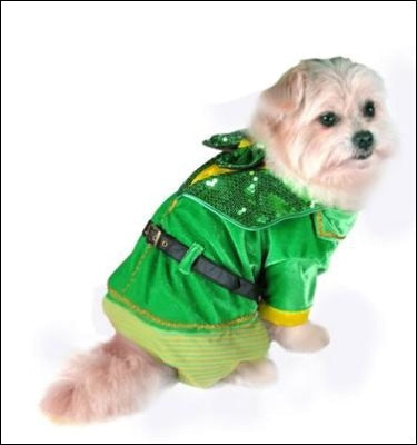 Little Leprechaun Boy Dog Costume