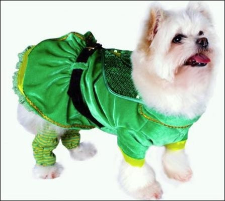 Little Leprechaun Girl Dog Costume