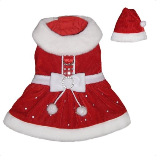 Santa Paws Dress