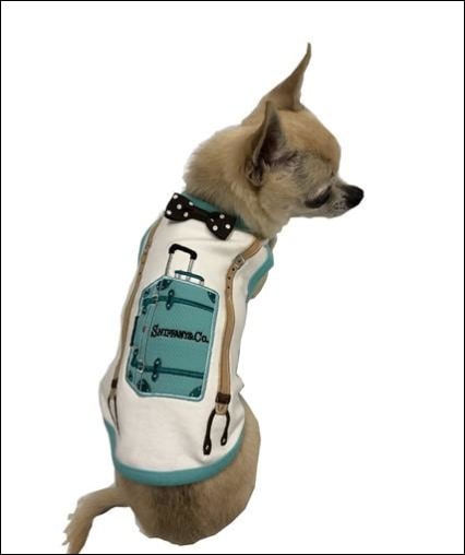 Sniffany Suitcase Tank