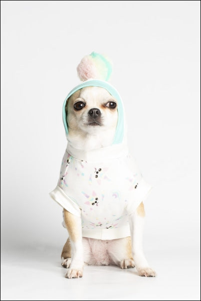 Sushi Iconic Dog Sweatshirt