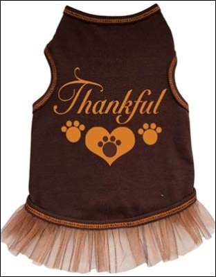 Thankful with 3 Paws - Tank Dress