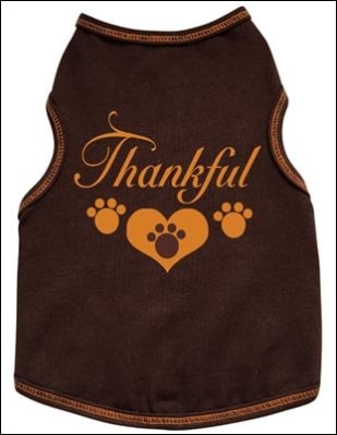 Thankful with 3 Paws -Tank