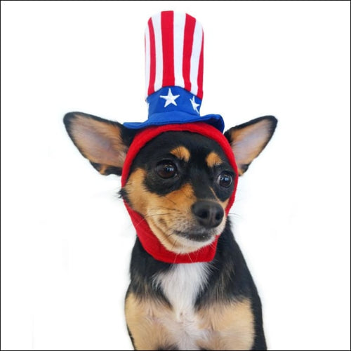 Uncle Sam Dog Hat
