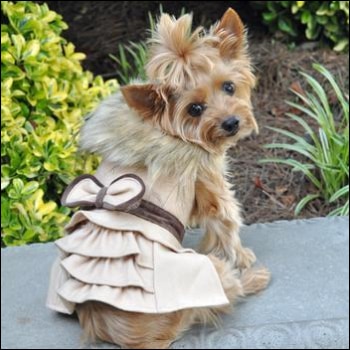 Wool Fur-Trimmed Dog Harness Coat - Camel