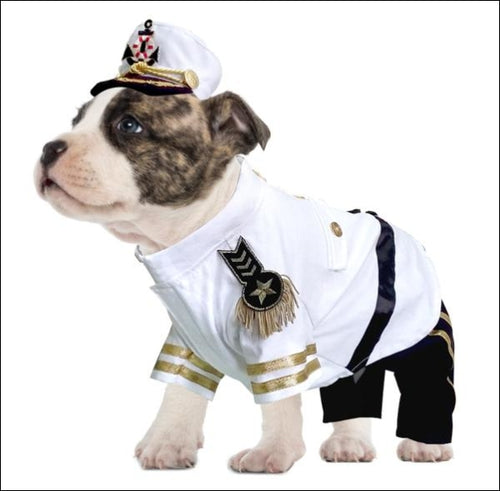Yacht Admiral Dog Costume