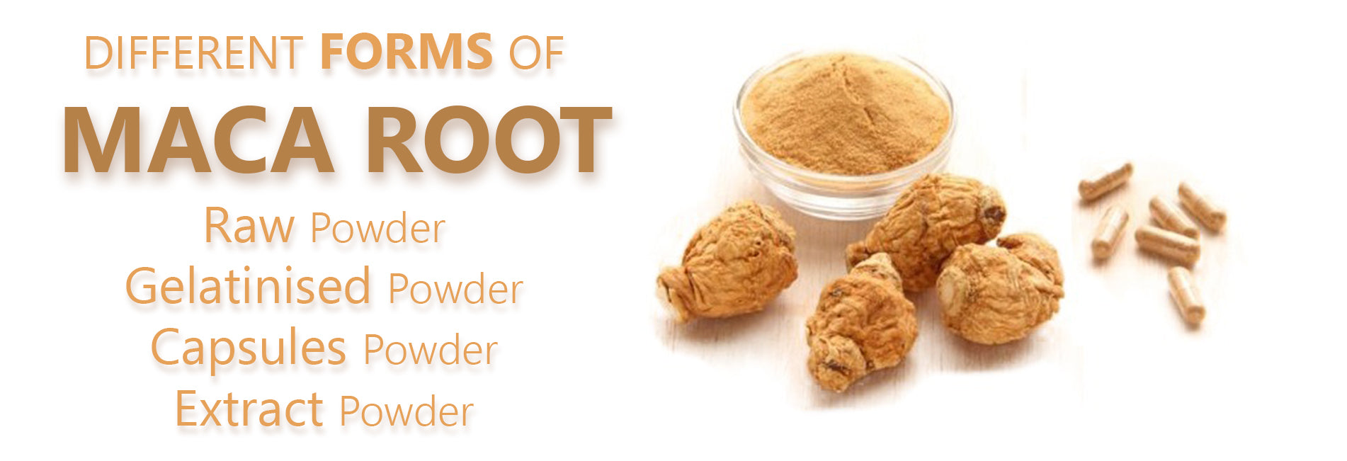 maca root powder capsule difference gelatinised extract what is best for consumption