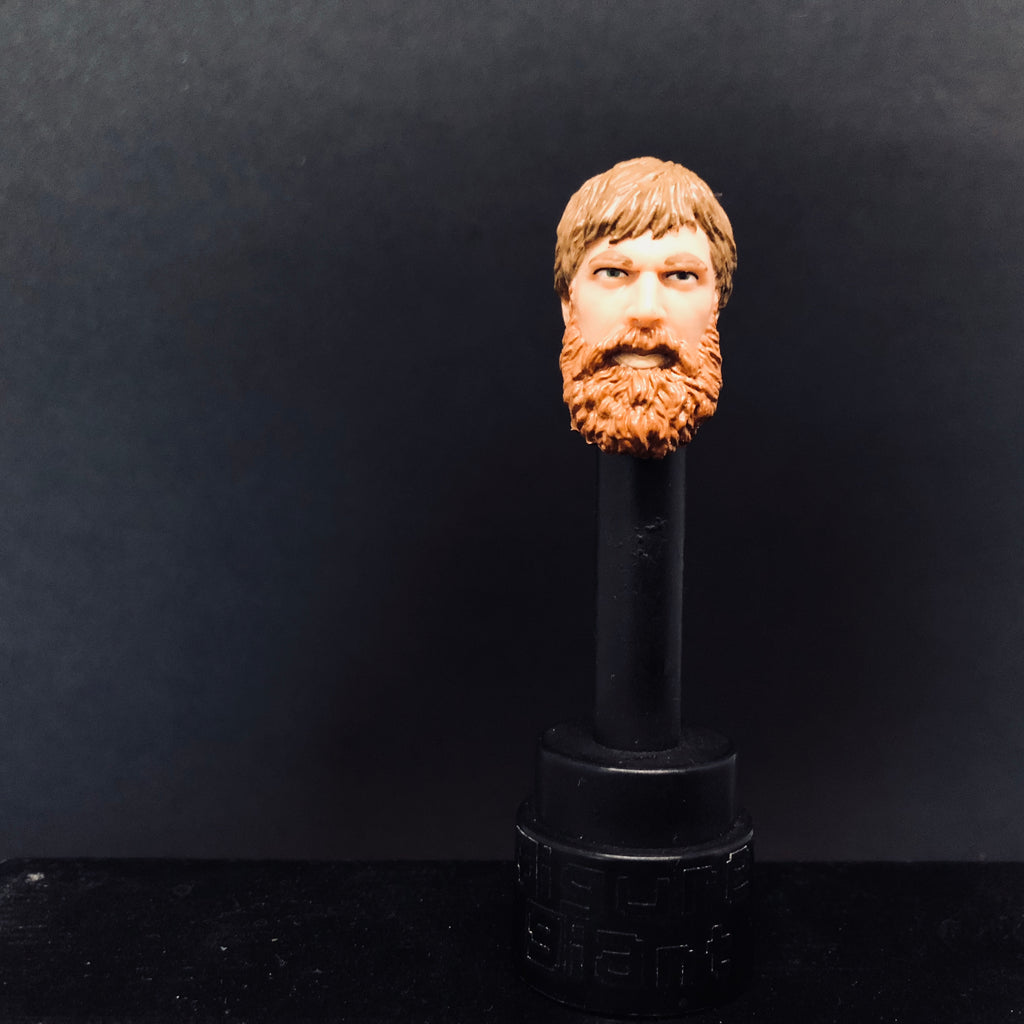 Daniel Bryan Short Hair Figure Giant