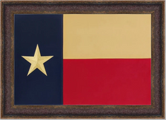 framed texas state flag
