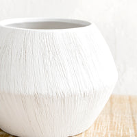 2: Fineline texture on white ceramic planter