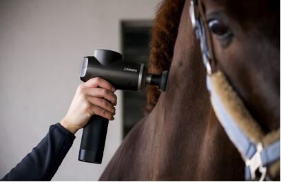 Massage gun for horses