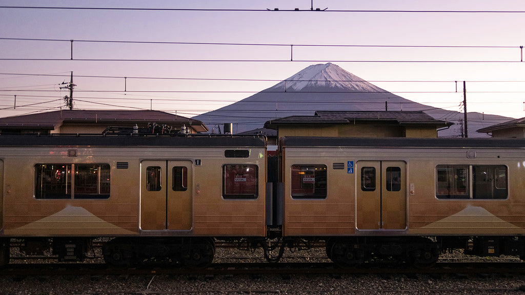 ワンちゃんと一緒に電車・バスに乗るときのマナー＆ルール