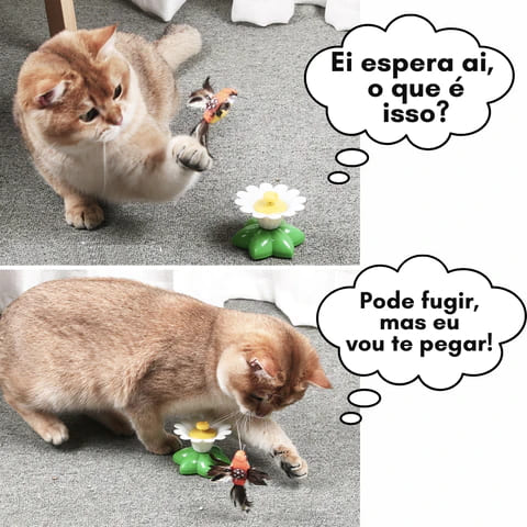 Brinquedo Interativo De Gato Girassol, Brinquedos Para Gatos De Estimação  Brinquedo De Jogo De Gato Em Puzzle Com Placa Giratória Para Filhotes De  Gato Escovar Os Dentes Kit De Suprimentos Para Animais