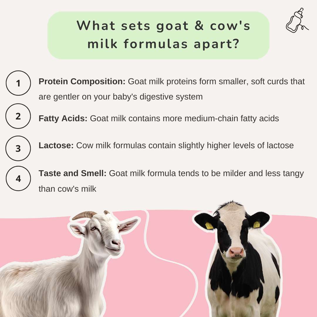 Goat milk vs cow milk