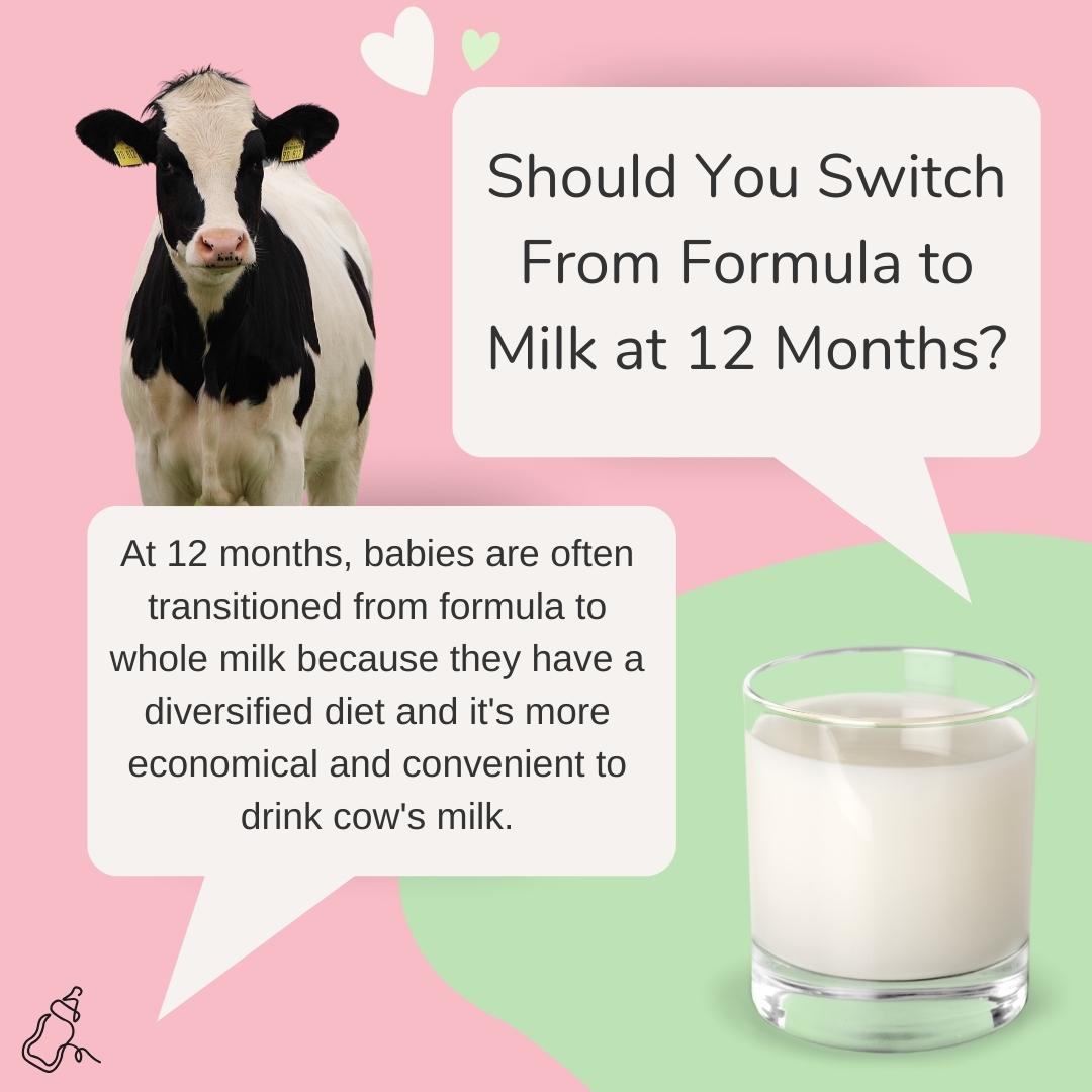 Should You Switch From Formula to Milk at 12 Months? - Baby Milk Bar