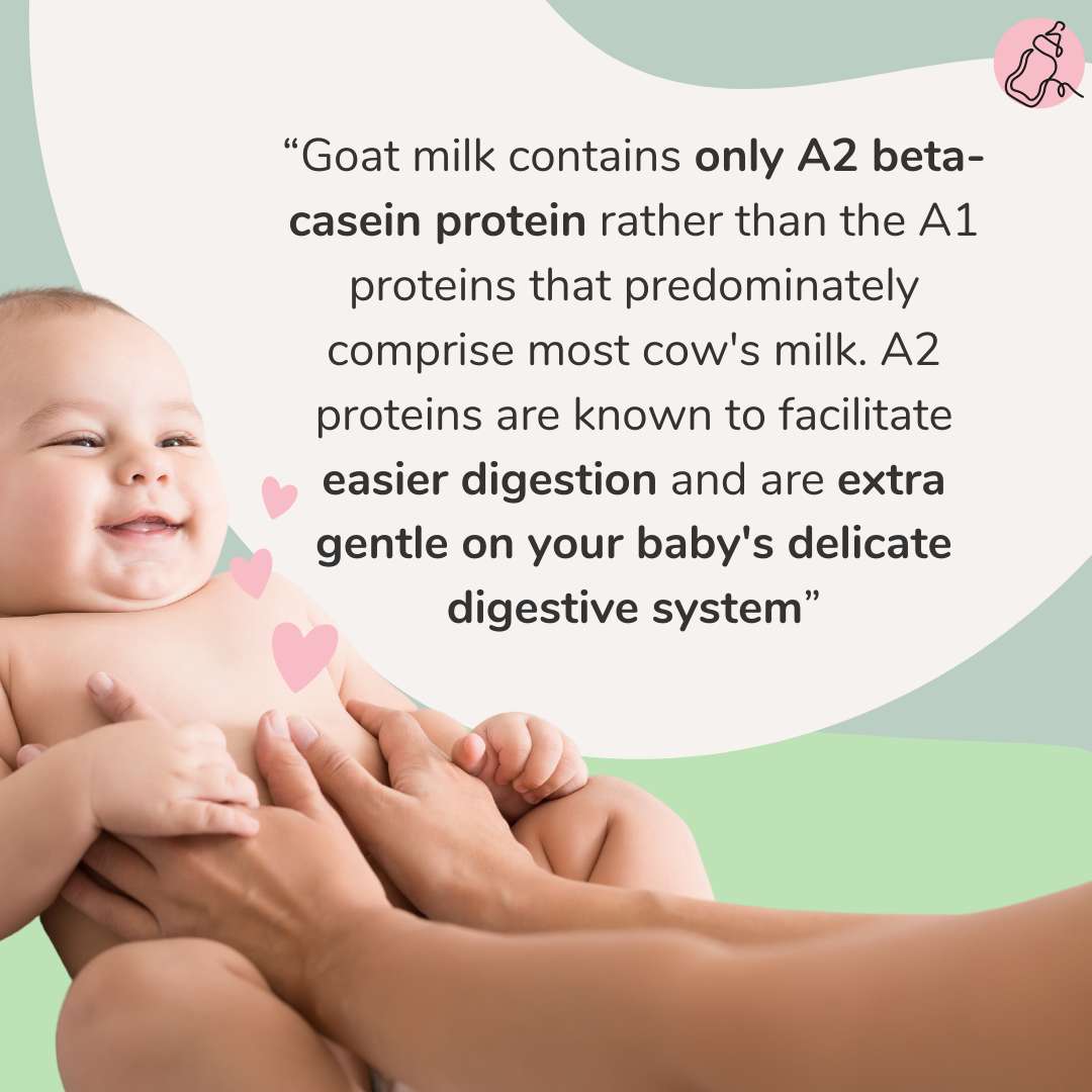 2. Differences in digestive goat milk vs cow milk
