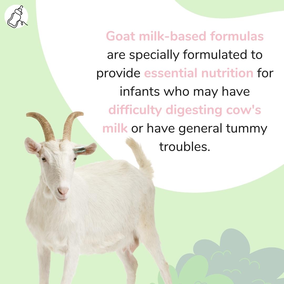 Goat Milk Formula Features and Benefits - Baby Milk Bar