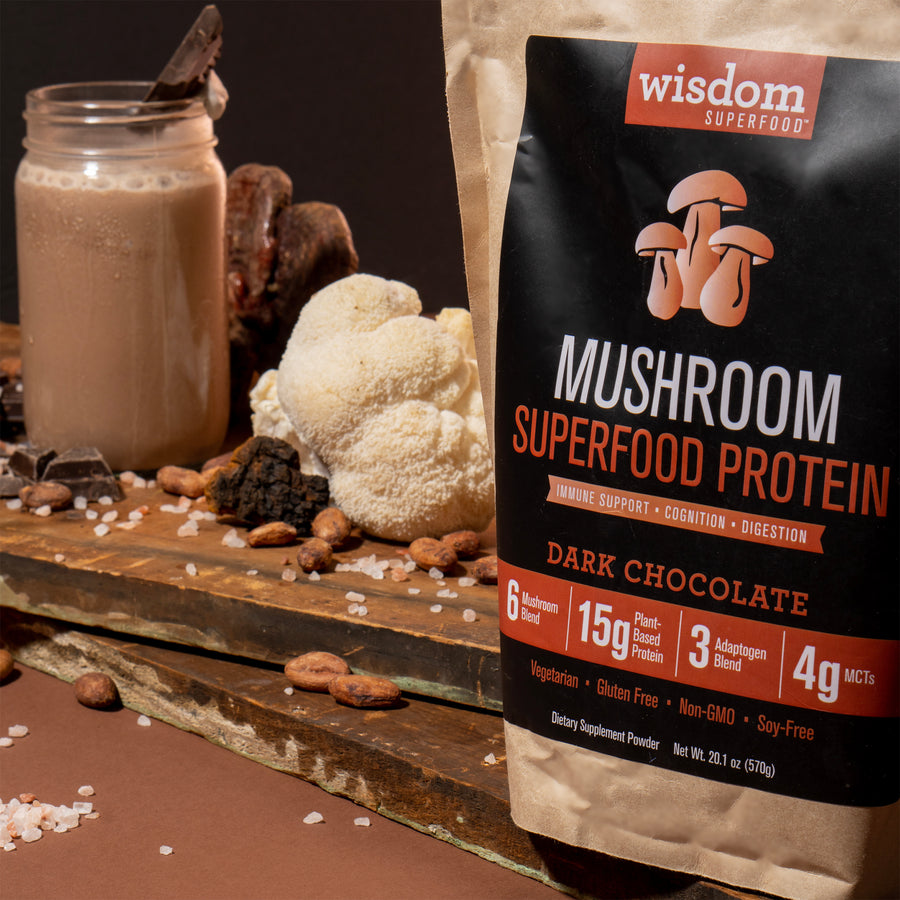Dark Chocolate Wisdom Superfood Mushroom Protein label close-up, alongside a mouthwatering chocolate smoothie garnished with chocolate, surrounded by Lion's Mane, Chaga, Reishi, dark chocolate shavings, Himalayan sea salt, cacao beans, and coconut flakes for a nutritious and delectable treat. 